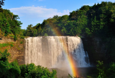 ​睡前故事小白兔的故事50篇