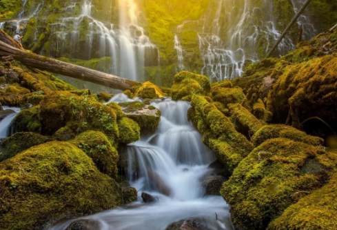 1688130635919768.png image.png