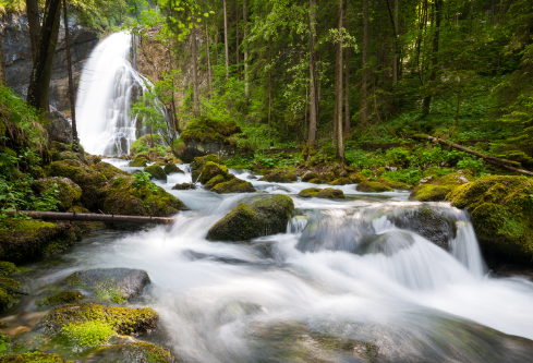 1688131635395164.png image.png