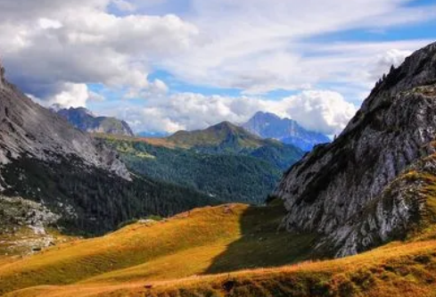 1688131968991059.png image.png