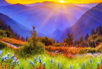 ​张嘉佳睡前故事系列30篇