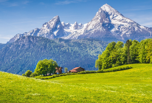 1688135805273177.png image.png