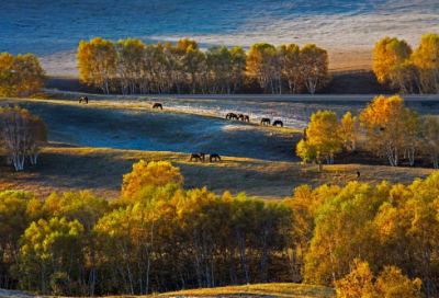 ​睡前故事公主童话25篇