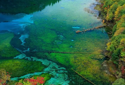 1688136472552431.png image.png