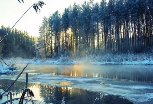 1688136639110020.png image.png