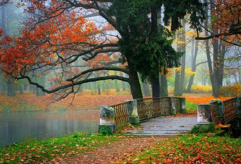 1688137473189453.png image.png