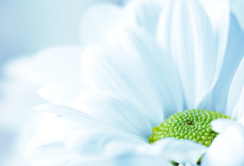 1688182393196339.png image.png