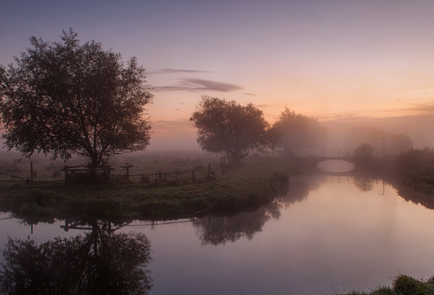 1688186393205965.png image.png