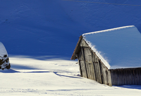 1688205034771061.png image.png