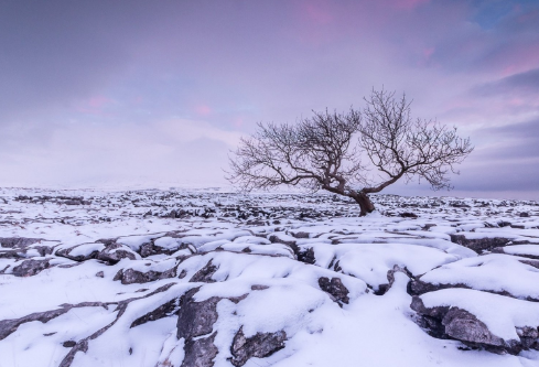 1688205700504566.png image.png