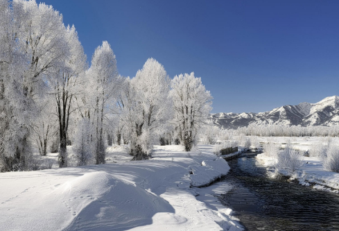 1688205867604821.png image.png