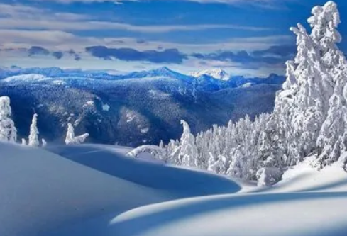 1688206367197824.png image.png