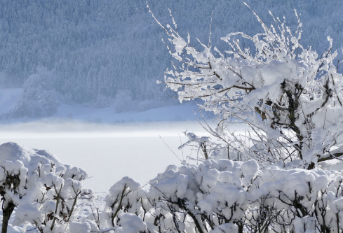 1688206533760487.png image.png