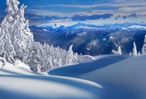 1688206699658738.png image.png