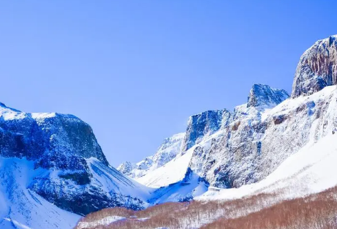 1688207032825302.png image.png