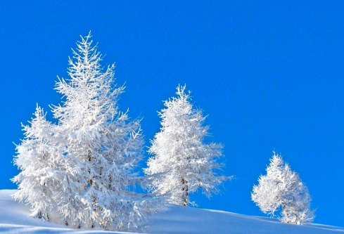 1688207699935292.png image.png