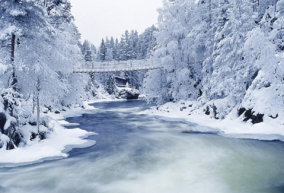 ​我的发现小学生作文四篇