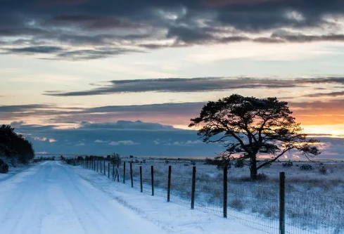 1688208531318334.png image.png