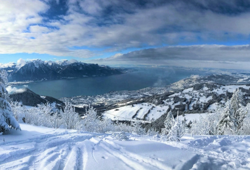 1688209698474485.png image.png