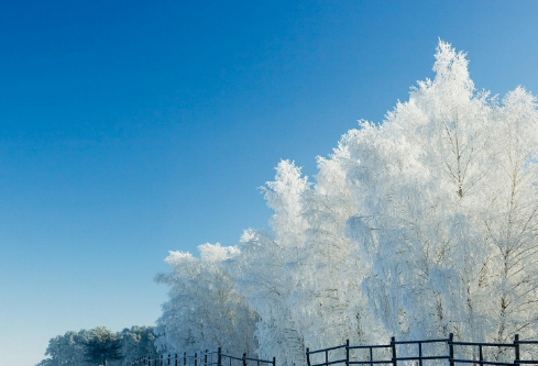 1688210529256368.png image.png