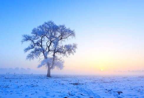 1688210862573893.png image.png