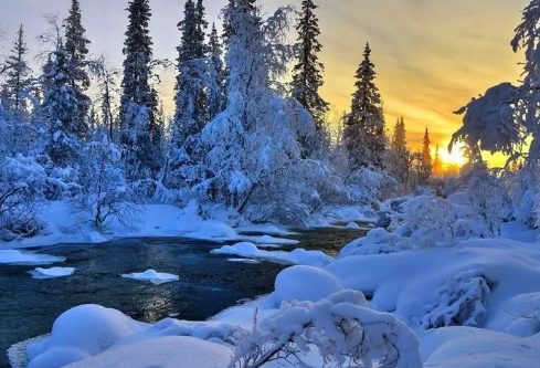 1688211529183606.png image.png