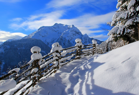 1688212028819384.png image.png