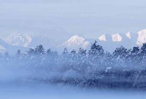 1688212195303956.png image.png