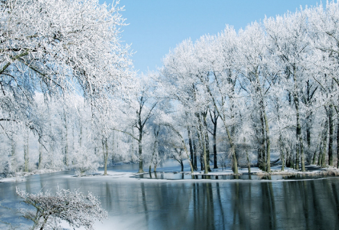 1688237879884757.png image.png