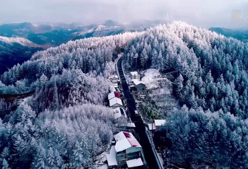 1688238045604426.png image.png