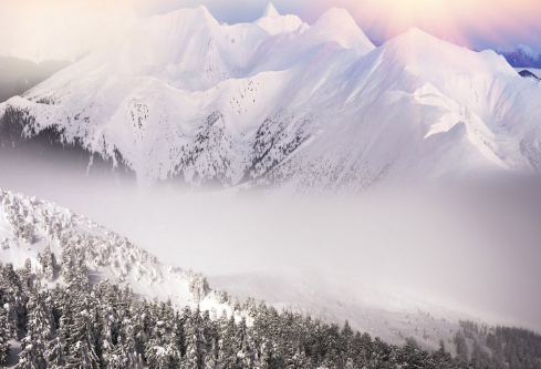 1688238378512533.png image.png