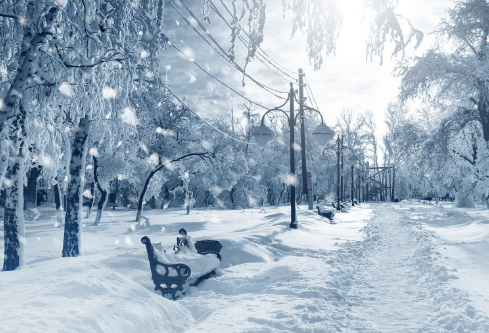 1688238712420254.png image.png