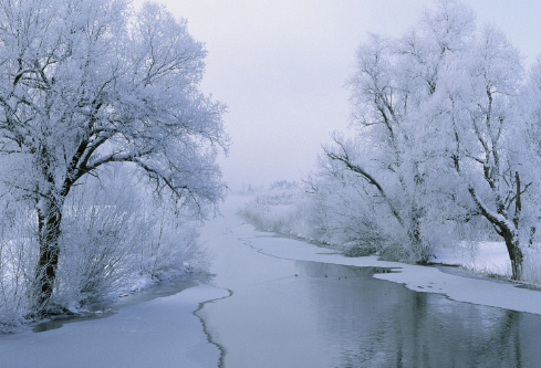 1688238878472384.png image.png