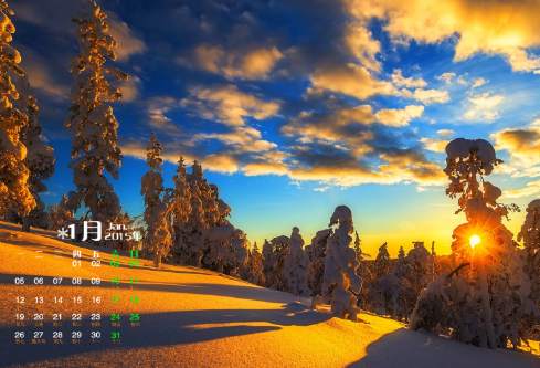 1688239045133902.png image.png