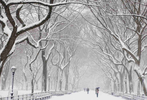 1688239211153793.png image.png