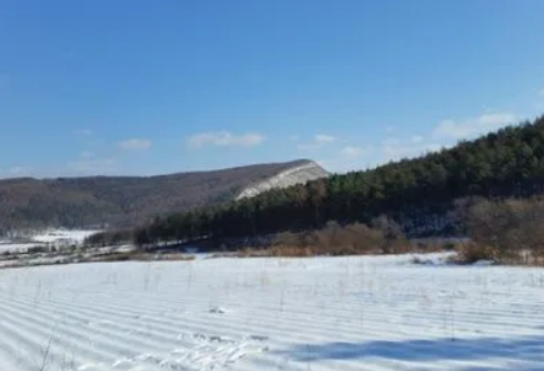 1688239710473921.png image.png