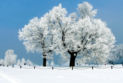 ​五一的作文300字3篇