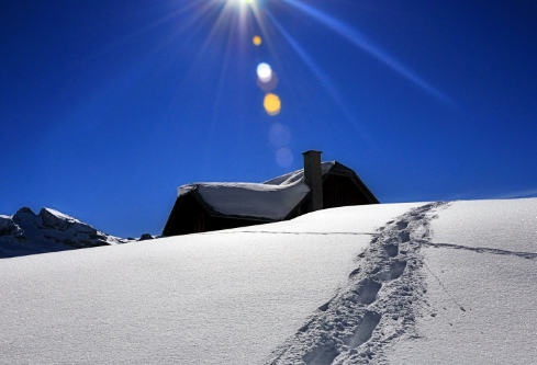 1688240542376078.png image.png