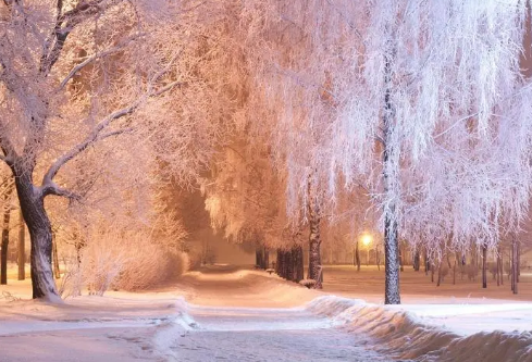 1688240875970372.png image.png