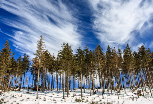 1688241208349627.png image.png