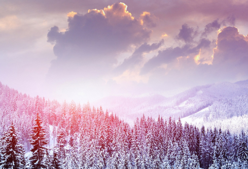 1688241540693361.png image.png