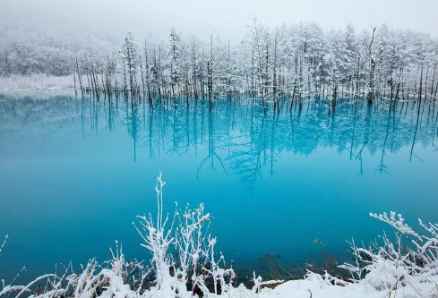 1688241873669408.png image.png