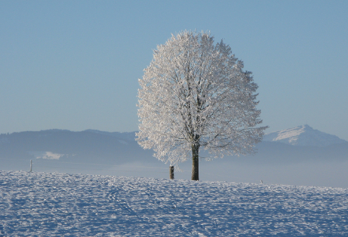 1688242540570318.png image.png