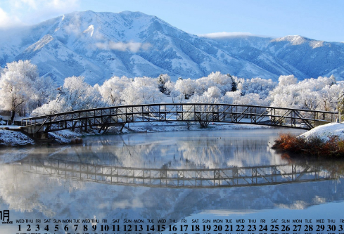 1688243206449290.png image.png