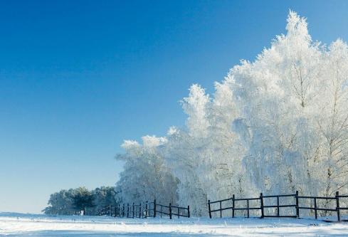 1688243372248694.png image.png