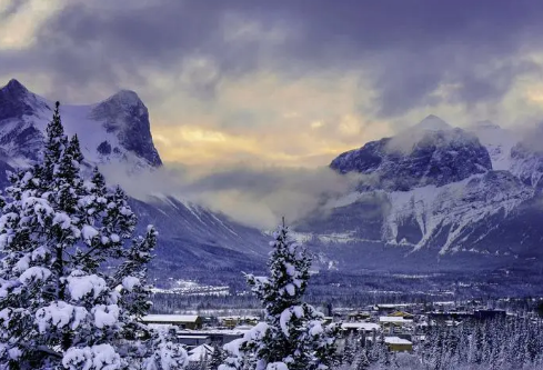 1688243705483611.png image.png