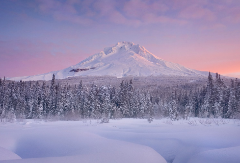 1688243871415811.png image.png