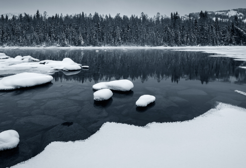 1688244204494703.png image.png