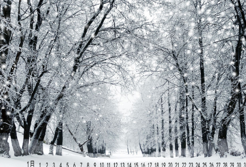 1688244538426094.png image.png