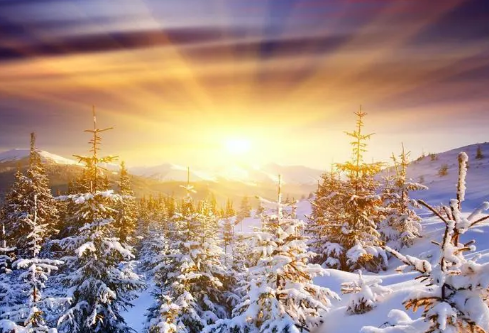 1688250364214956.png image.png